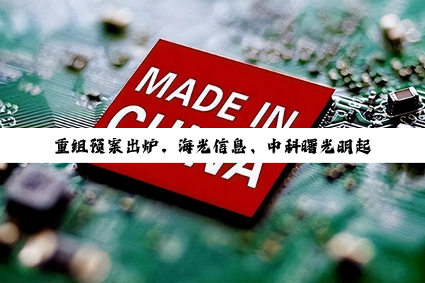 重组预案出炉，海光信息、中科曙光明起复牌
