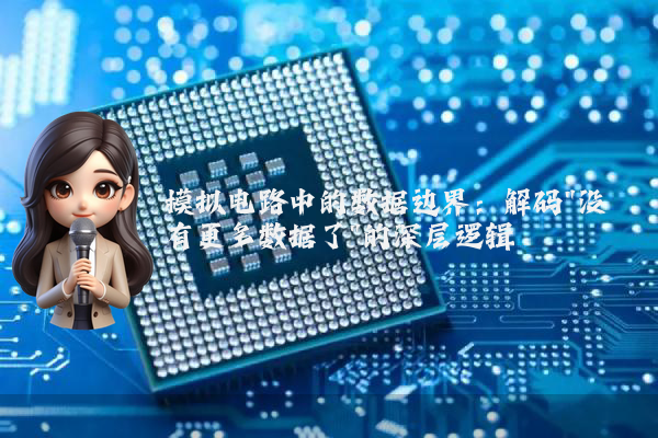 模拟电路中的数据边界：解码